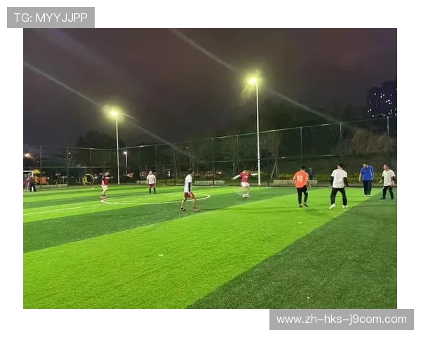 平湖市有哪些足球场地可供市民使用和租赁的详细介绍